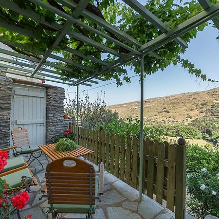 Victoria'S Summerhouse Андрос Экстерьер фото